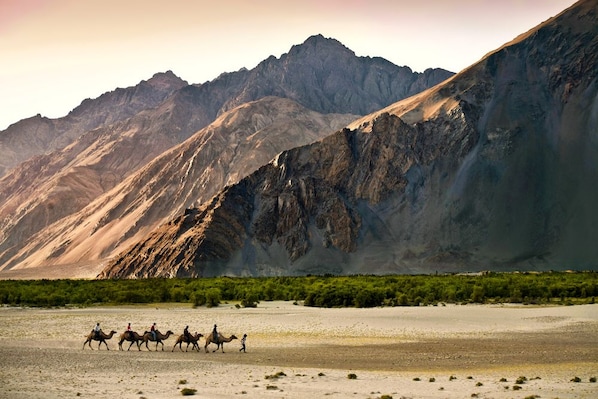 Nubra_Valley_destination_main_4