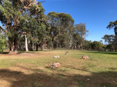 Cleland National Park