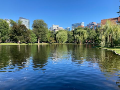 Public Garden Boston