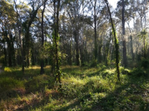Boondall Wetlands Environment Centre