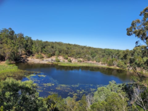Daisy Hill Conservation Park