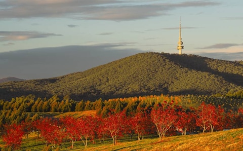 Image from popular destination Canberra - The Heart of Australia's Heritage and Culture