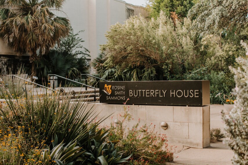 Dallas_Texas_Discovery_Gardens_1