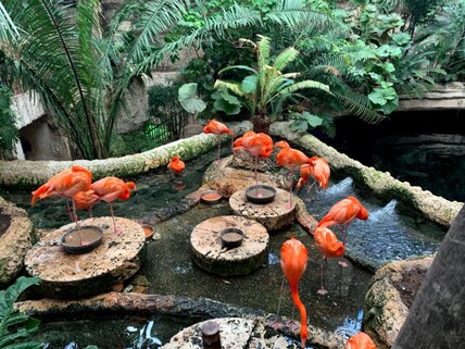 Dallas World Aquarium
