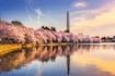 Washington_2