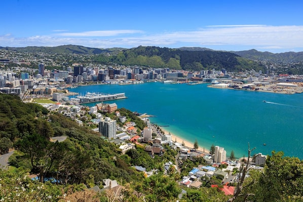 Wellington_3