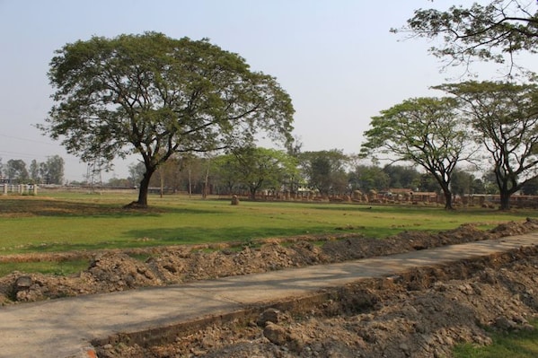 Dimapur_landscape_destination_5