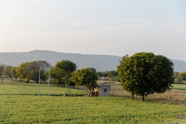 Manesar_landscape_destination_3