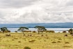 Nairobi_destination_landscape_2