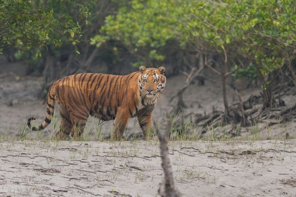 Paonta_Sahib_destination_landscape_4