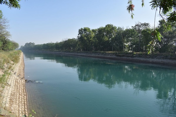 Patiala_destination_landscape_3