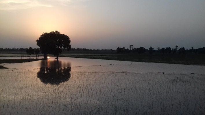 Patiala_destination_landscape_5