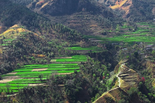 Chakrata_Destination_landscape_5