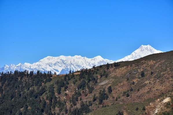Darjeeling_shutterjulimg_1