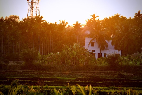 Davangere_destination_landscape_6