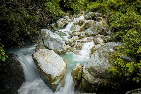 Dehradun_shutterjulimg_1