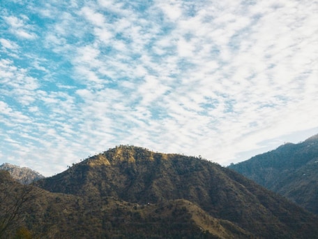 Mandi, Himachal Pradesh