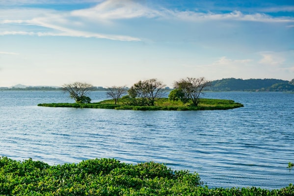 Guwahati_shutterjulimg_3