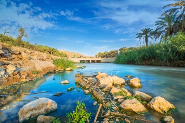 Riyadh_Destinaton_landscape_2