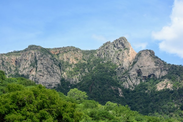 Tirupati_shutterjulimg_1