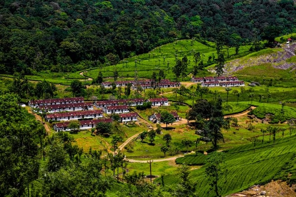 Valparai_Destinatoin_landscape_2