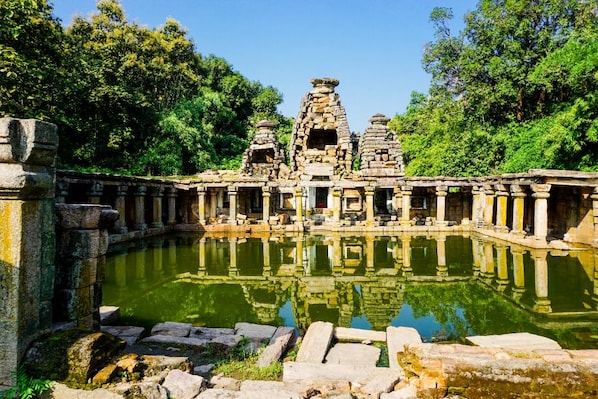 Nagpur_tv_destination_img_3