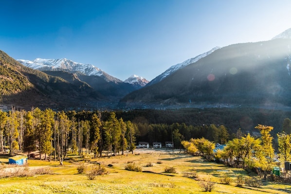 Pahalgam_tv_destination_img_4