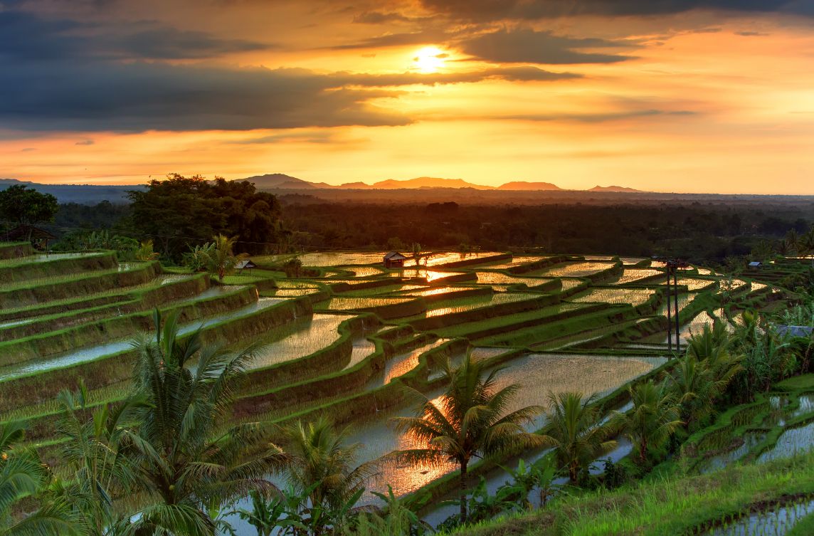 Bali_tv_destination_img_5