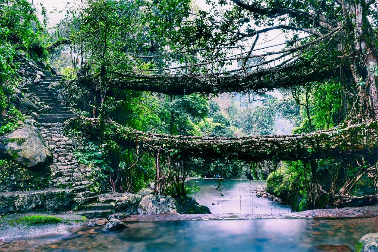 Shillong_tv_destination_img_4
