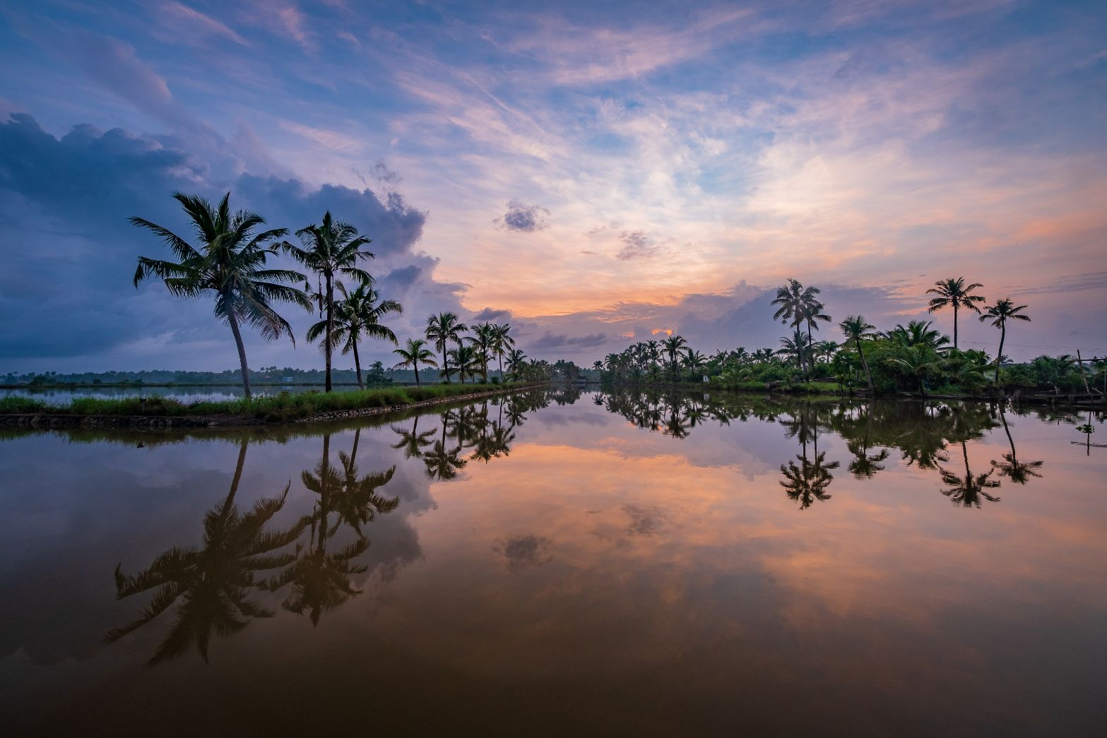 kochi_tv_destination_img_4