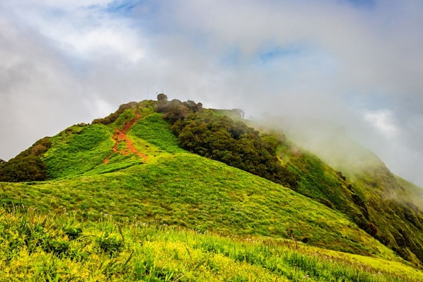 Chikmagalur_tv_destination_img_1