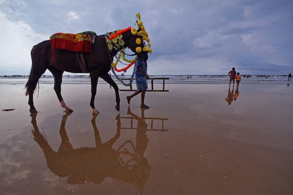 Digha_tv_destination_img_3