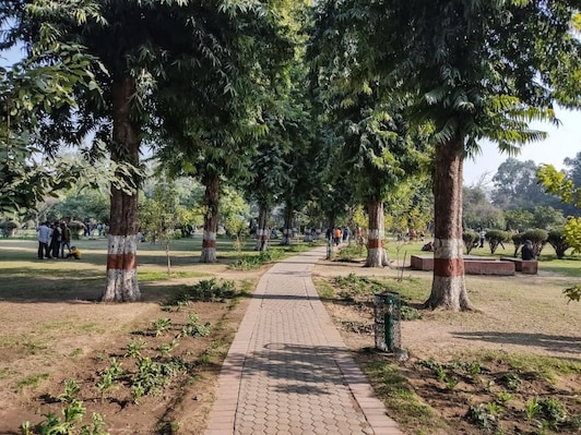 Ludhiana_tv_destination_img_5