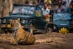 Ranthambore_tv_destination_img_2