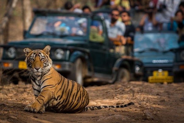 Ranthambore_tv_destination_img_2