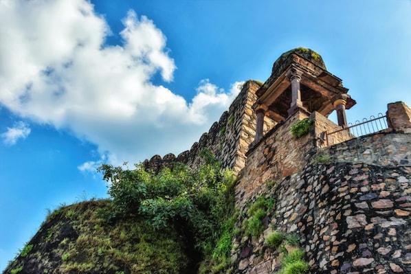 Ranthambore_tv_destination_img_5