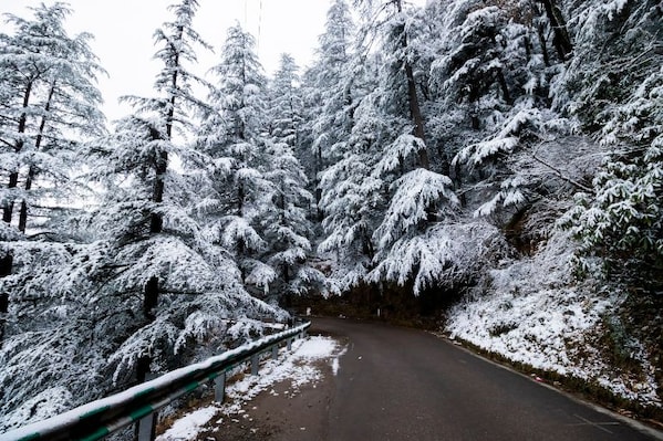 Shimla_tv_destination_img_4