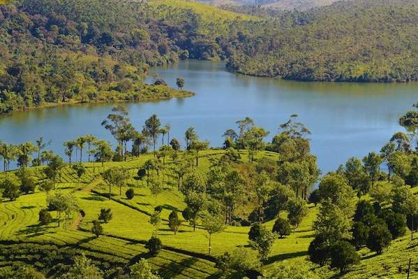 Thekkady_tv_destination_img_2