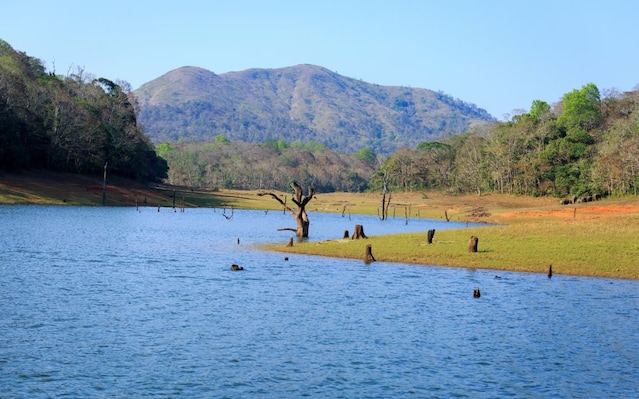 Thekkady_tv_destination_img_5
