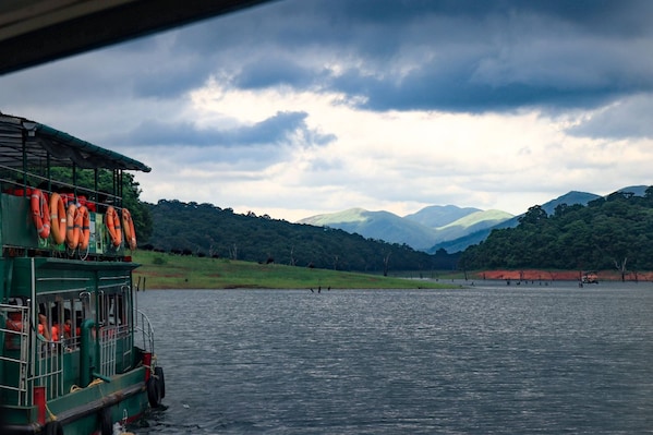 Thekkady_tv_destination_img_6