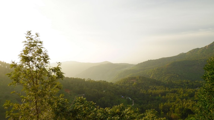 Yercaud_tv_destination_img_2