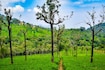 Yercaud_tv_destination_img_4