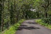 Yercaud_tv_destination_img_6