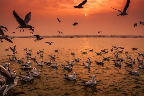 varanasi_tv_destination_img_8