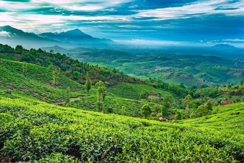 Image from popular destination Wayanad - Green Paradise in North-East Kerala