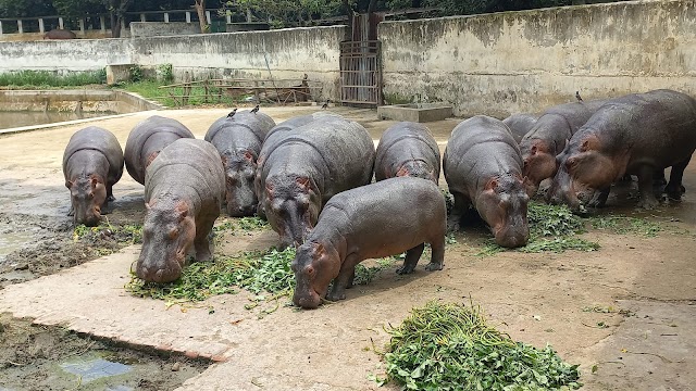 bangladesh_national_zoo_dhaka_4