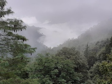 Get Closer to Wildlife at Jabarkhet Nature Reserve