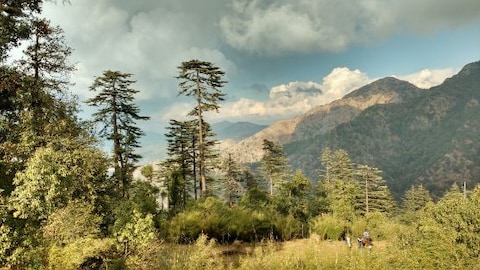 Take a Stroll at Eco Park