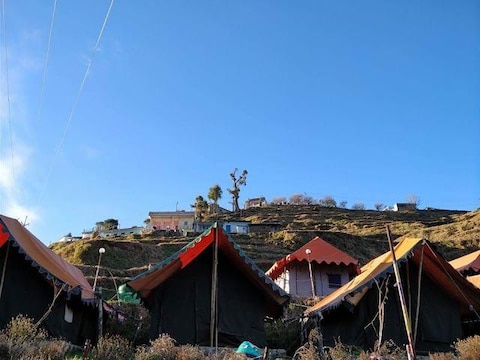 Camp O Royale
