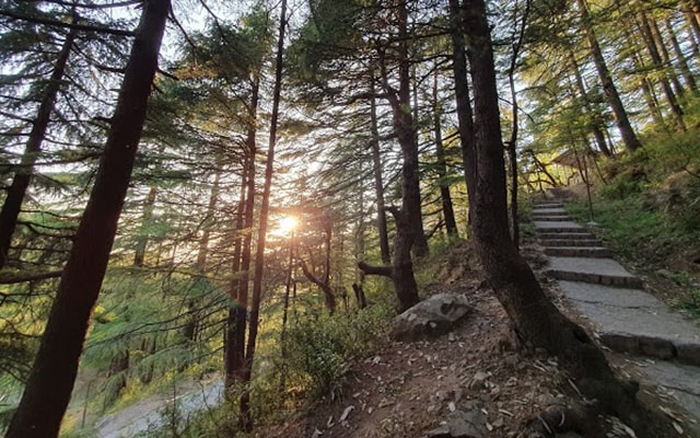 Dharamshala Yoga And Meditation Landscape Image